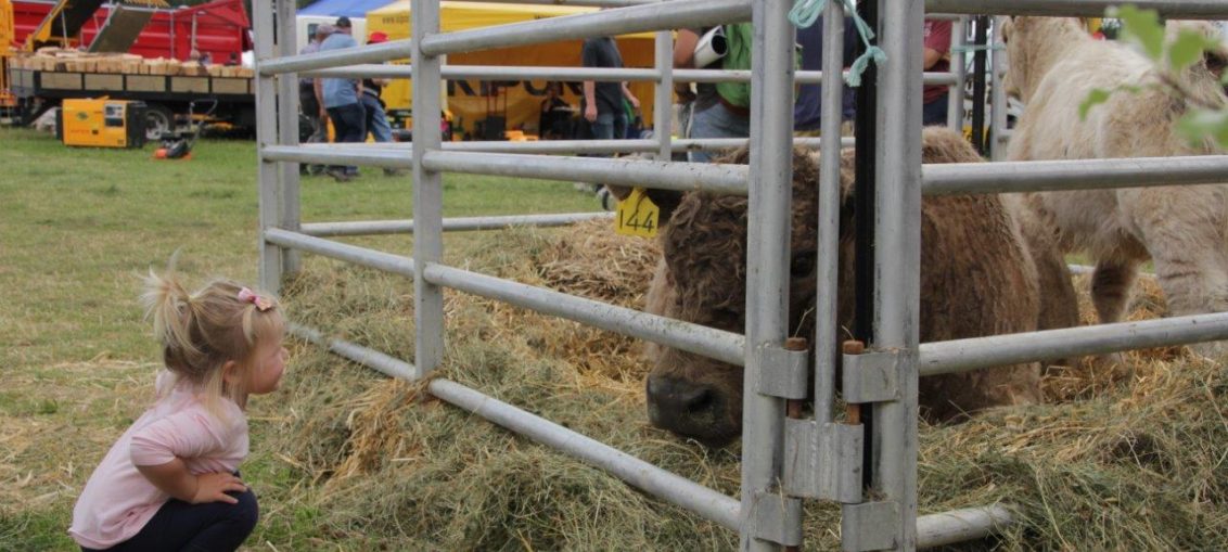 article by Make Lemonade NZ