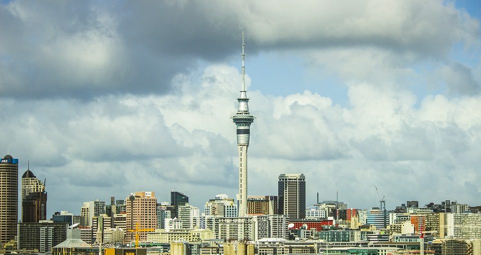 article by Make Lemonade NZ