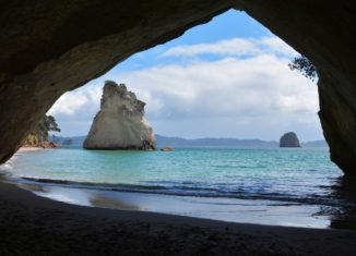 tech nz